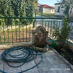 Kolhida *