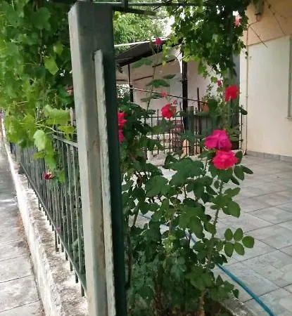 Apartment Kolhida