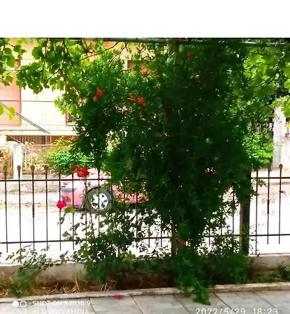 Kolhida Apartment *