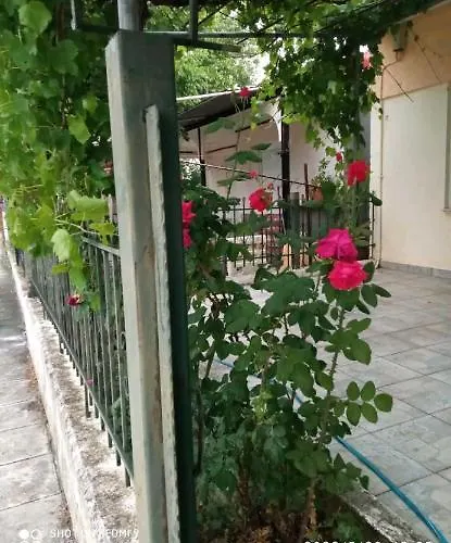 Appartamento Kolhida